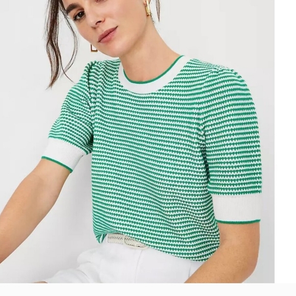 Ann Taylor Sweaters - NWT Ann Taylor Petite Stitch Sweater Tee - Green and White